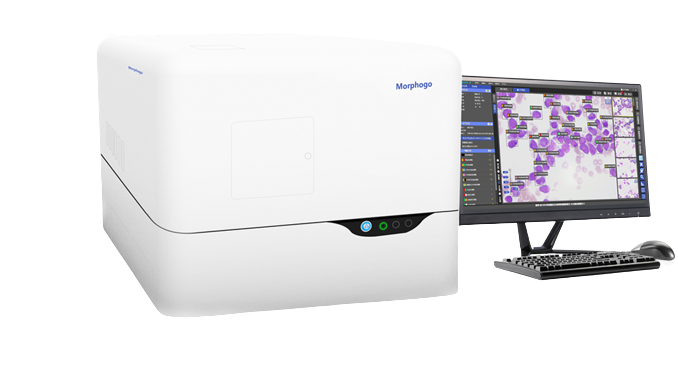 Morphogo System