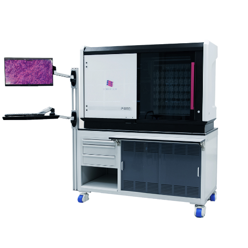 P1000 DX