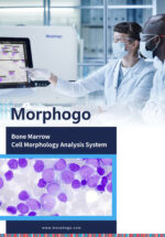 morphogo brochure