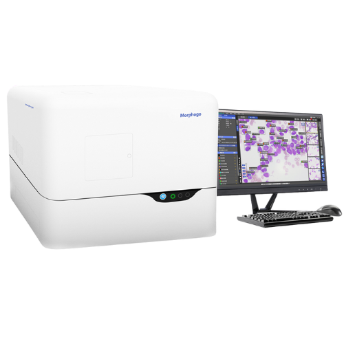 morphogo